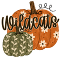Wildcats Pumpkin