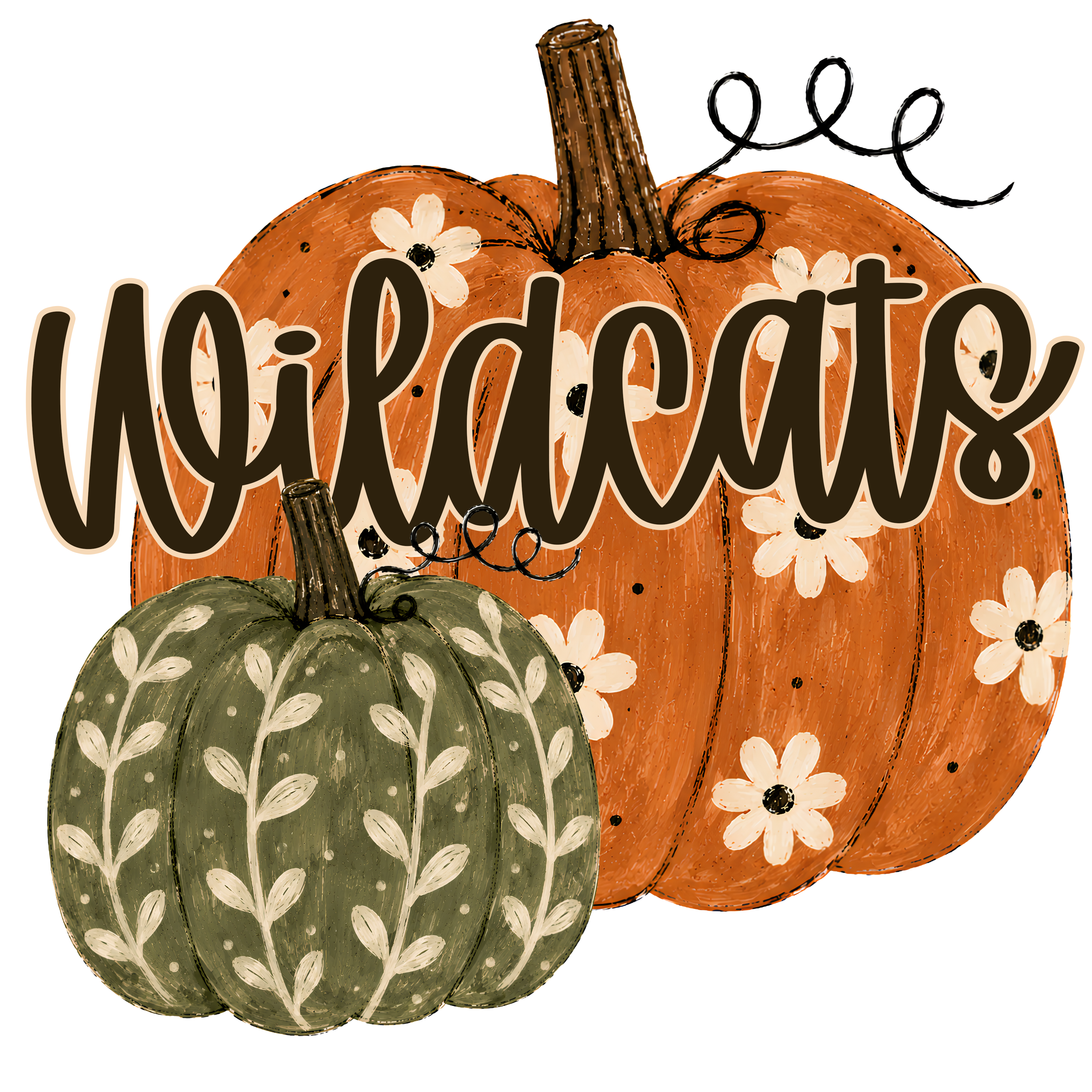Wildcats Pumpkin
